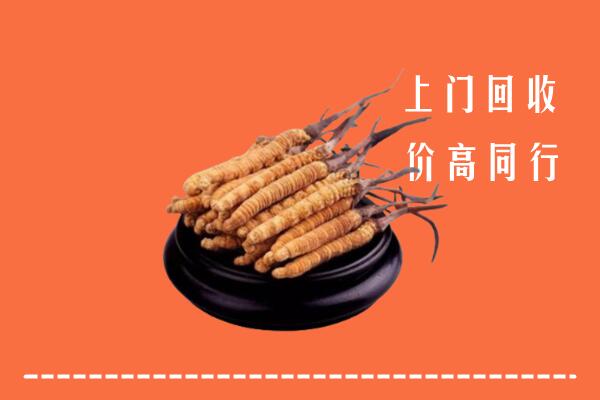 高价求购：文昌市回收散虫草