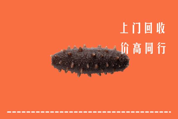 高价求购：文昌市回收海参