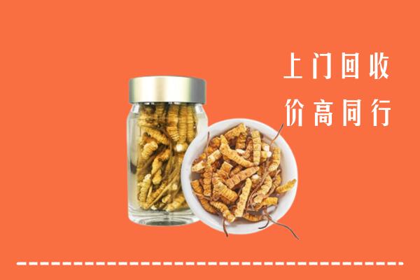 文昌市高价回收冬虫夏草